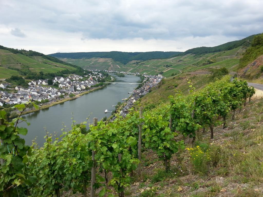 "Ferienhaus An Der Mosel" زيل ان دير موسل المظهر الخارجي الصورة