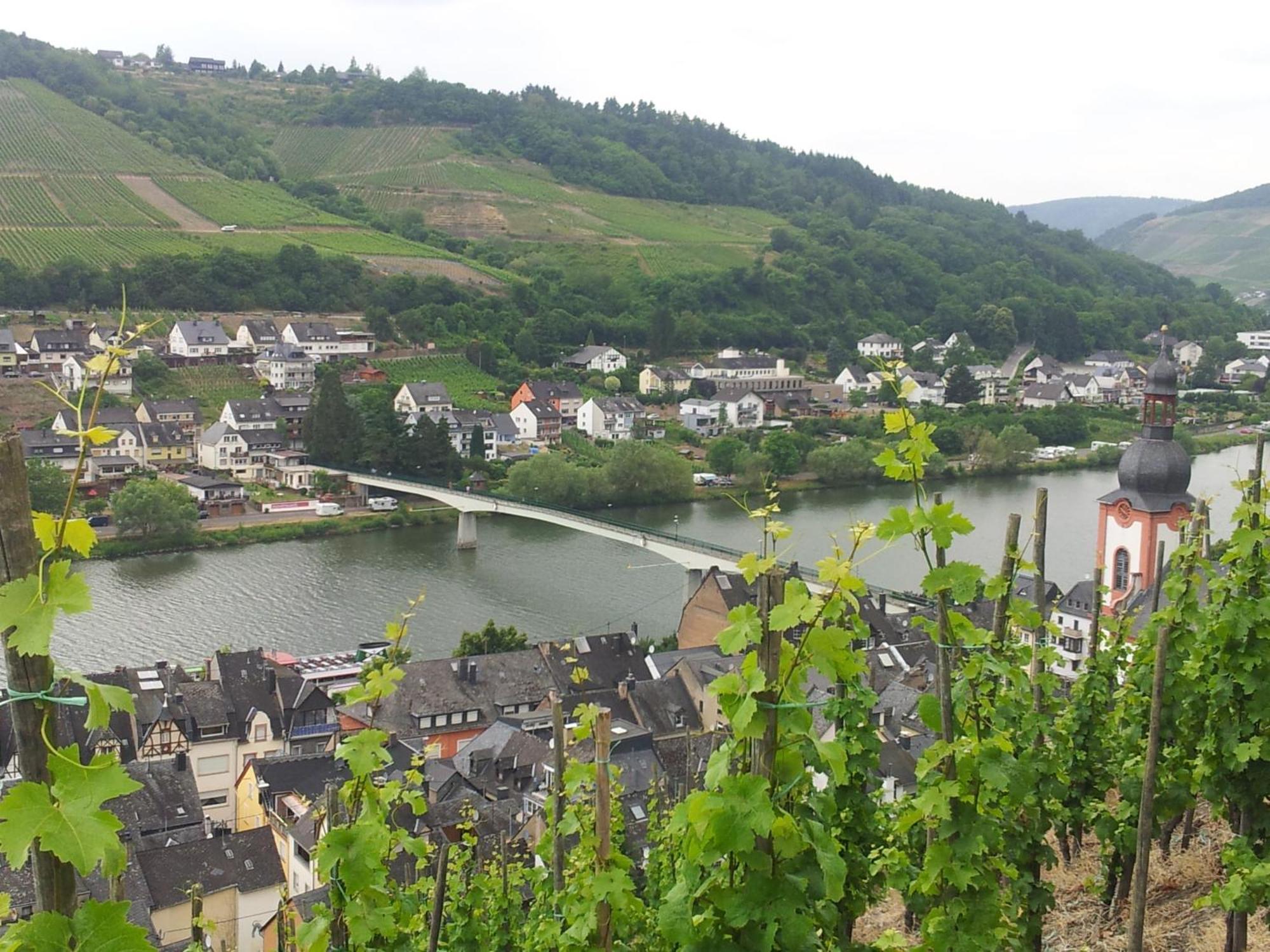 "Ferienhaus An Der Mosel" زيل ان دير موسل المظهر الخارجي الصورة
